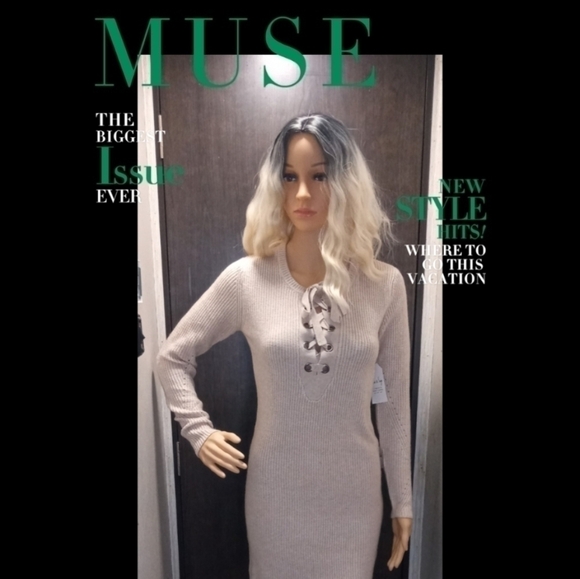 NWT Sadie & Sage Taupe Lace Up Sweater Dress S - Picture 2 of 10